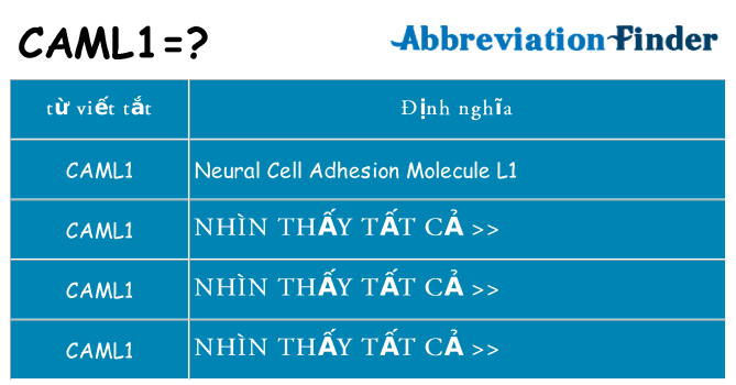 caml1 hiện những gì đứng cho