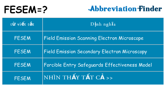 fesem hiện những gì đứng cho