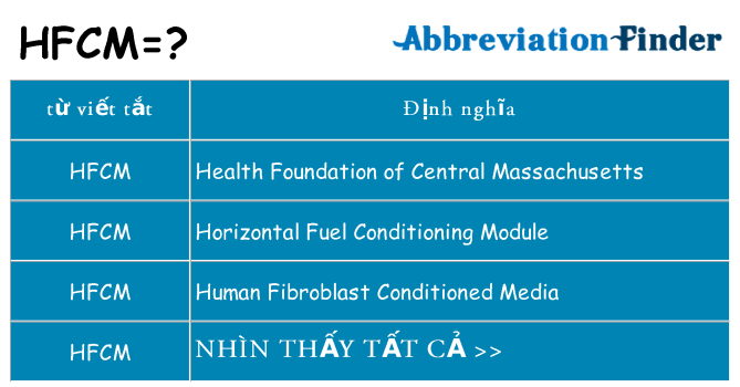 hfcm hiện những gì đứng cho
