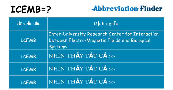 icemb hiện những gì đứng cho