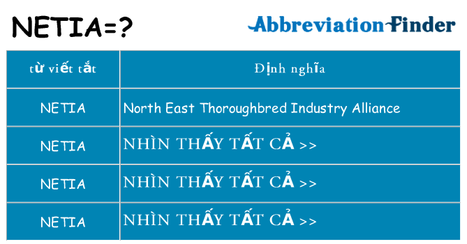 netia hiện những gì đứng cho