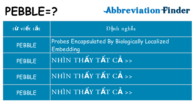 pebble hiện những gì đứng cho