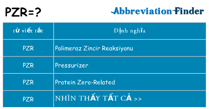 pzr hiện những gì đứng cho