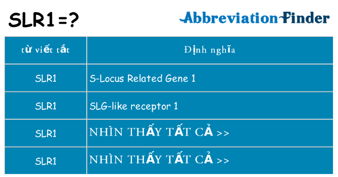 slr1 hiện những gì đứng cho