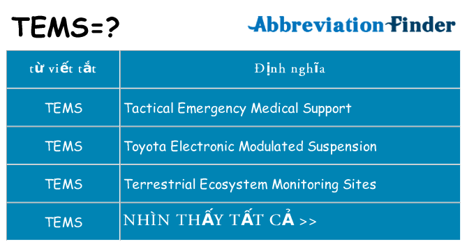 tems hiện những gì đứng cho