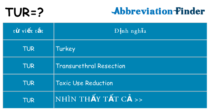 tur hiện những gì đứng cho
