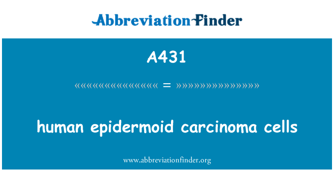 A431: menneskelige epidermoid karsinom celler