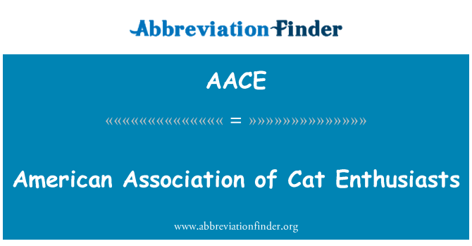 AACE: Американская ассоциация любителей кошек