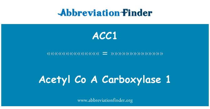 ACC1: Acetil Co A Carboxylase 1