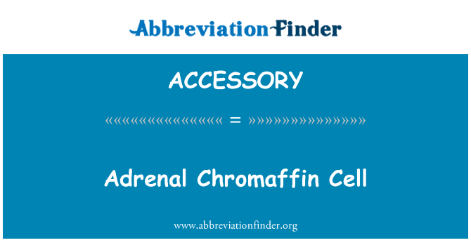 ACCESSORY: Glandes Chromaffin sèlil