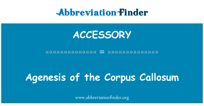 ACCESSORY: Parcijalna Corpus Callosum