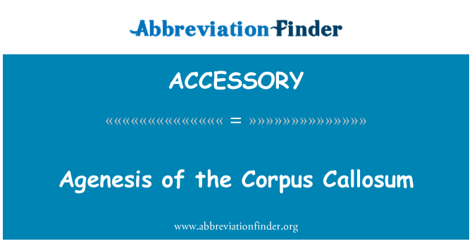 ACCESSORY: Corpus Callosum agenesis