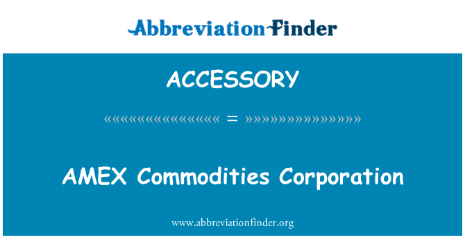 ACCESSORY: 美國運通商品公司