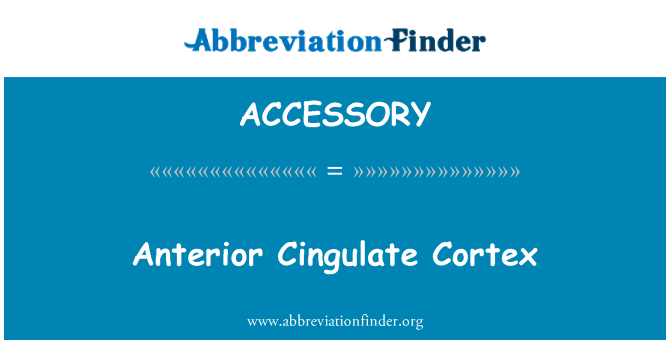 ACCESSORY: Tanjant enteryè òtèks Cingulate