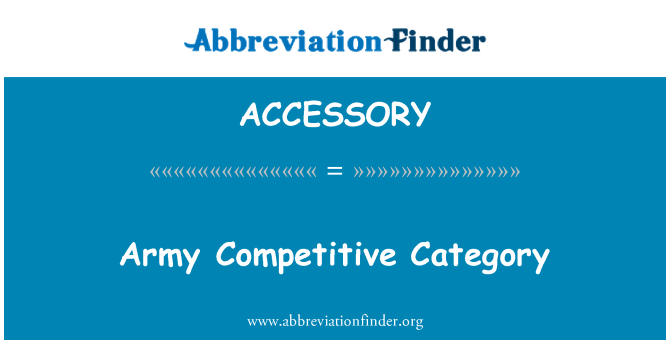 ACCESSORY: 军队竞争类别