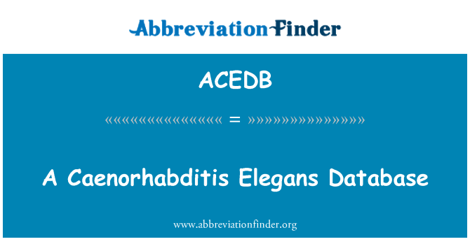 ACEDB: Caenorhabditis Elegans duomenų bazės