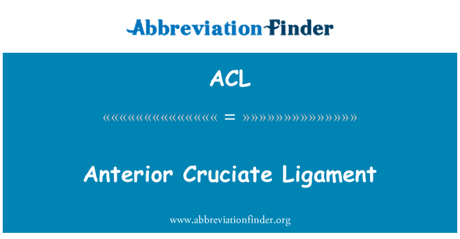 ACL: 前交叉韧带