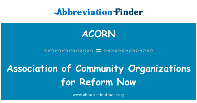 ACORN: Association of Community Organizations for Reform Now