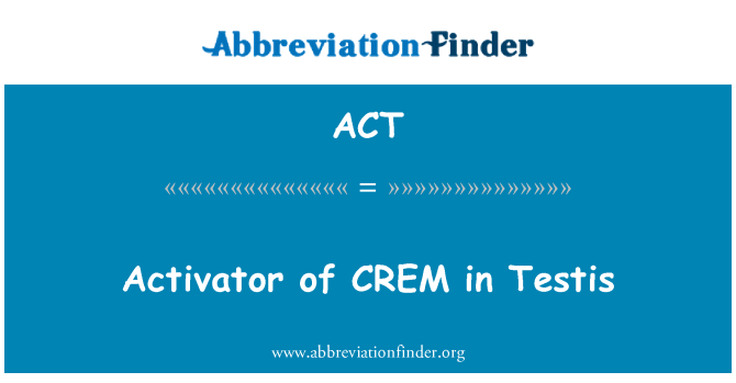 ACT: Ativador de CREM no testículo