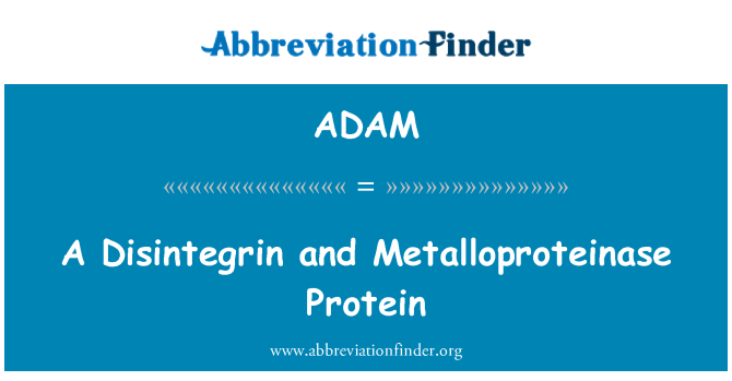 ADAM: Un Disintegrin e la proteina Metalloproteinase