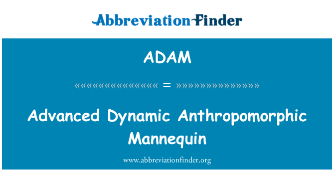 ADAM: Manichino antropomorfo dinamica avanzata