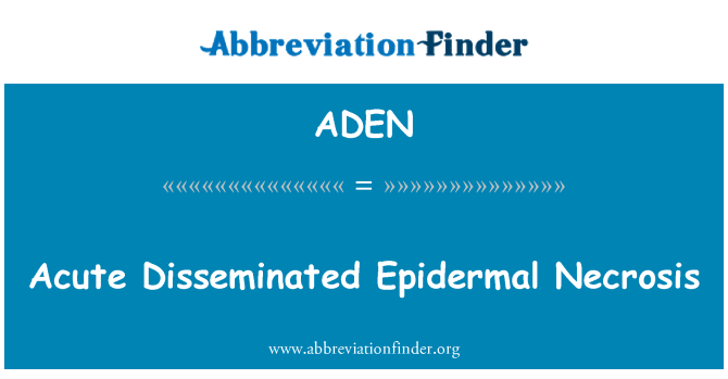 ADEN: 급성 전파 표 피 괴 사