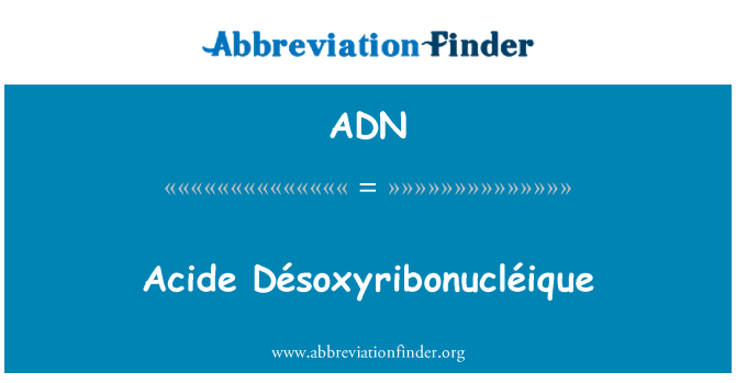 ADN: 酸類 Désoxyribonucléique