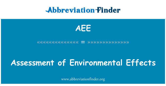 AEE: Valutazione degli effetti ambientali