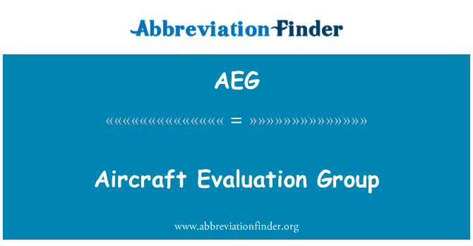 AEG: กลุ่มการประเมินเครื่องบิน