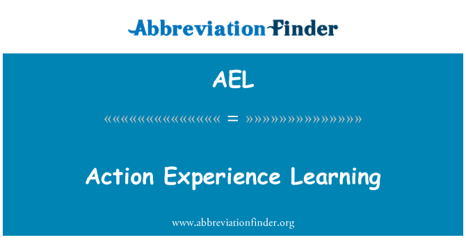 AEL: Actie ervaring leren