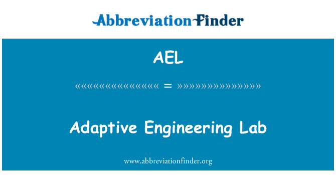 AEL: Adaptive Engineering Lab