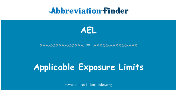 AEL: 適用可能な露出の制限