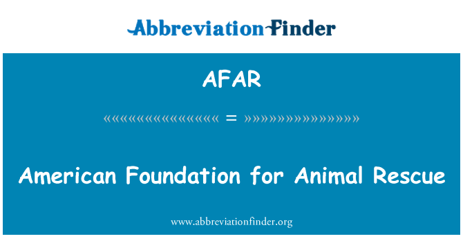 AFAR: Fundación Americana para rescate de animales
