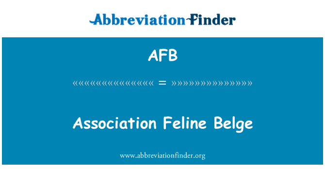 AFB: Asociace kočičí Belge