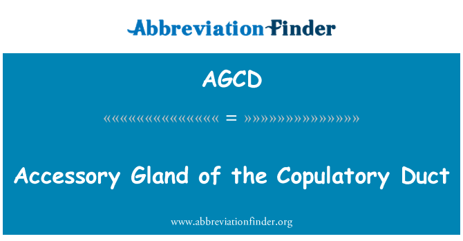 AGCD: Accesoriu glanda a conductei copulator