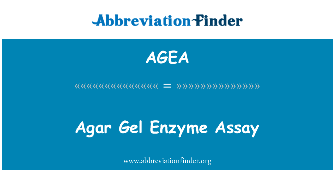 AGEA: Agarového gélu enzým test