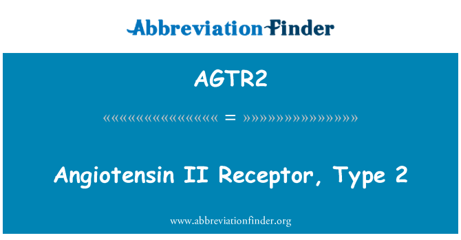 AGTR2: ตัวรับ II พเตอร์ ชนิด 2