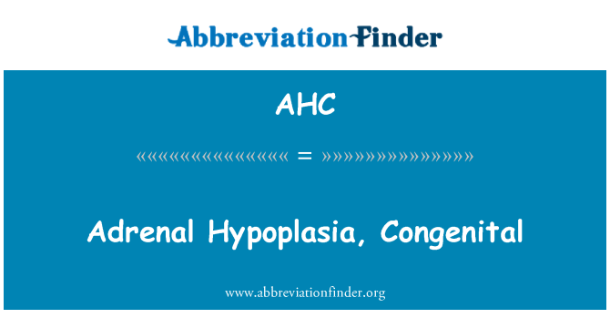 AHC: Hypoplazie, nadledvinek, vrozené