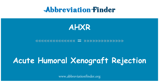 AHXR: Akutní humorální Xenograft odmítnutí