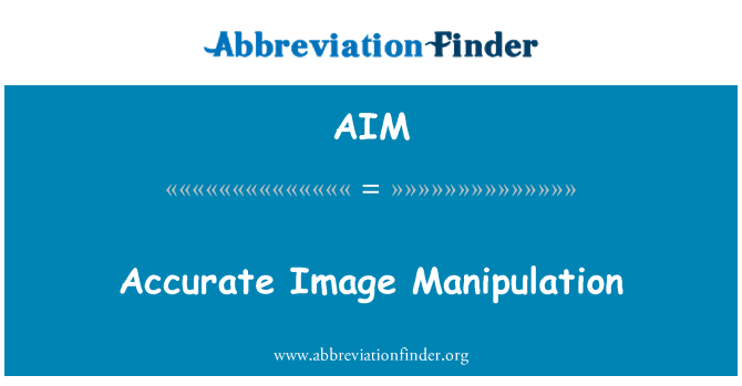 AIM: Accurate Image Manipulation