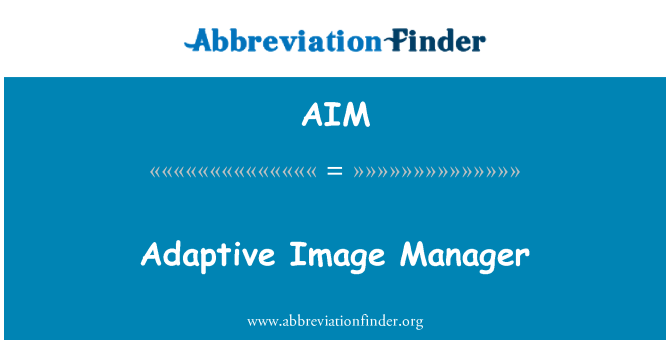 AIM: Adaptivní Image Manager