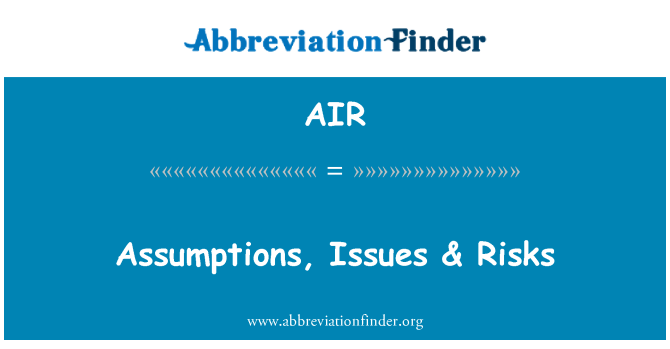 AIR: Assumptions, Issues & Risks