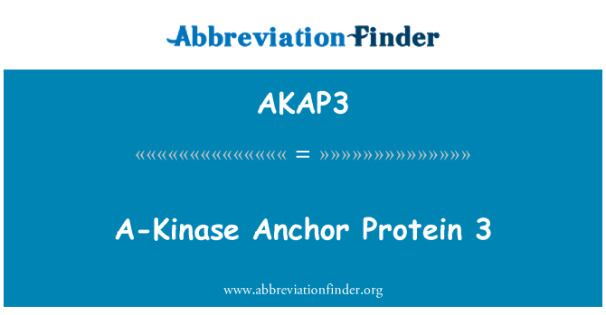 AKAP3: A-киназата котва протеин 3