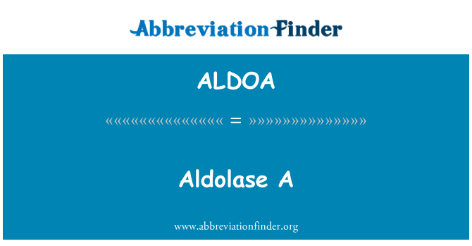 ALDOA: Aldolase A