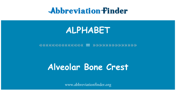 ALPHABET: Cresta del hueso alveolar