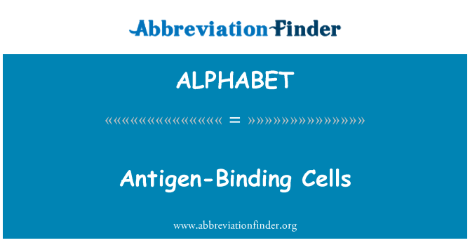 ALPHABET: Antigen-bindande celler