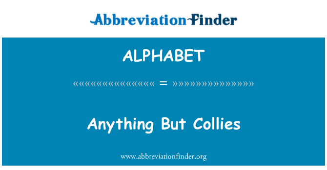 ALPHABET: 任何事,除了牧羊犬