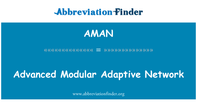 AMAN: Réseau adaptatif modulaire avancé