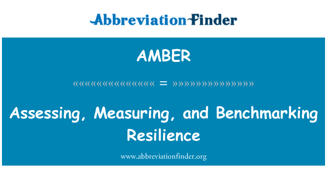 AMBER: Évaluation, mesure et analyse comparative de résilience
