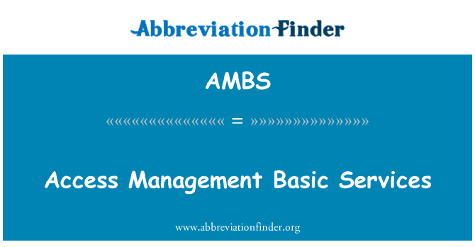 AMBS: Access Management Basic Services